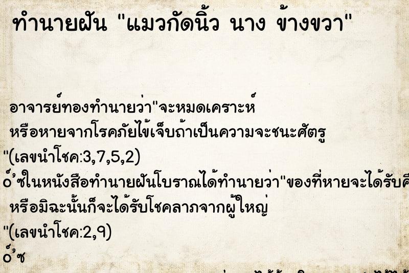 ทำนายฝันแมวกัดนิ้วนางข้างขวา ทำนายฝันทำนายฝันแมวกัดนิ้วนางข้างขวา